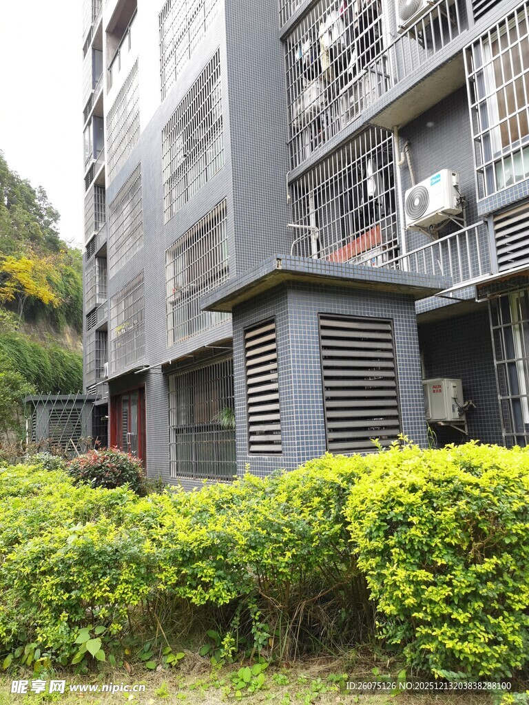 小区楼旁的绿植与设备