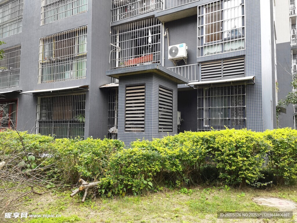 灰色楼房外的绿植景观