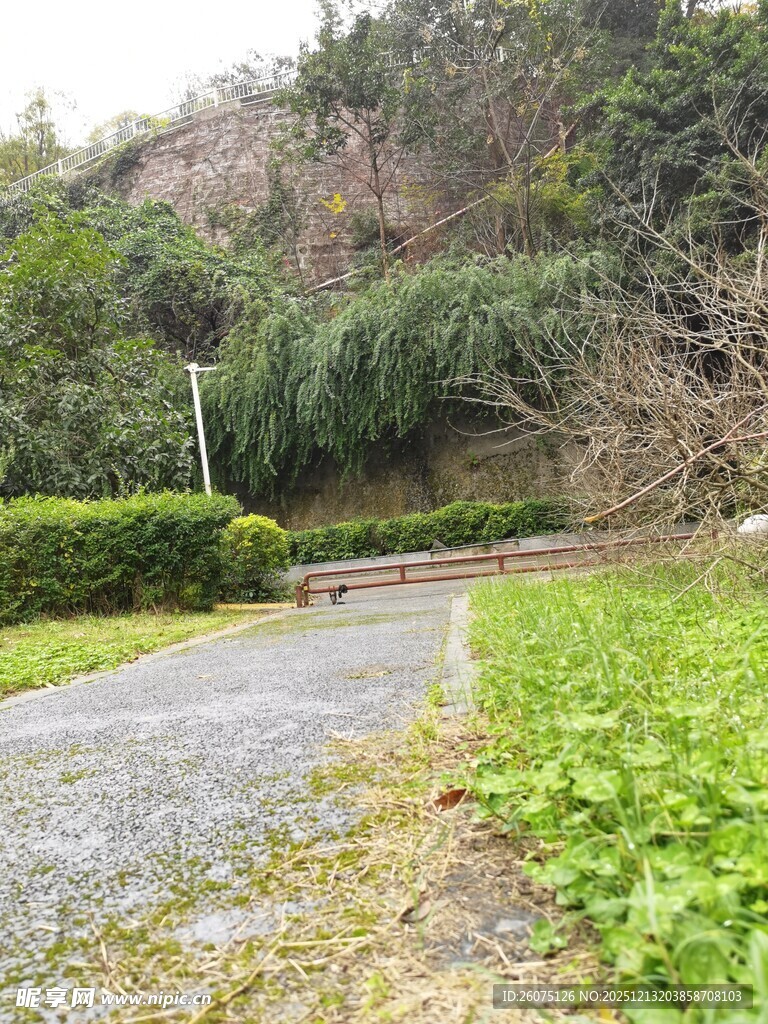 山间幽静小路绿植相伴