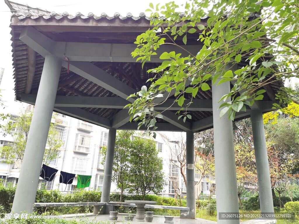 中式凉亭绿意环绕景致美