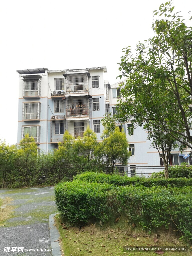 小区住宅旁的绿植景观