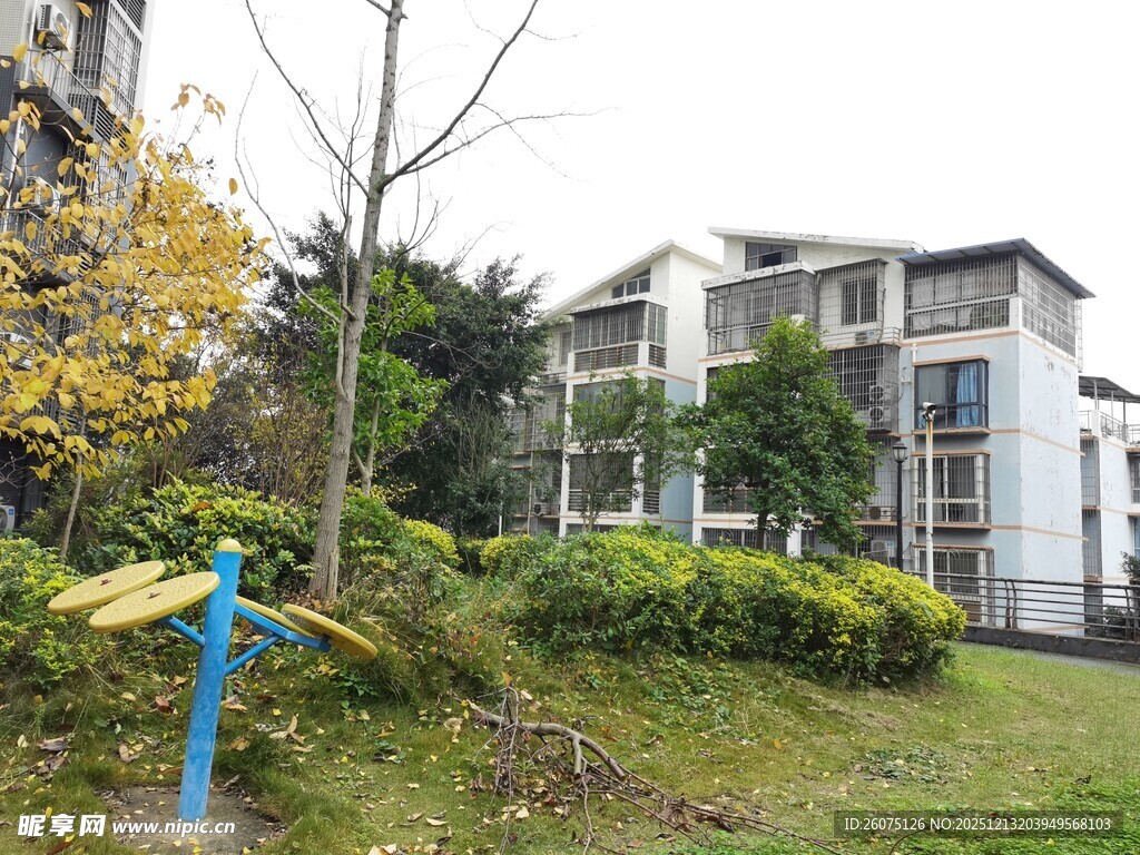 现代住宅旁的绿植景观