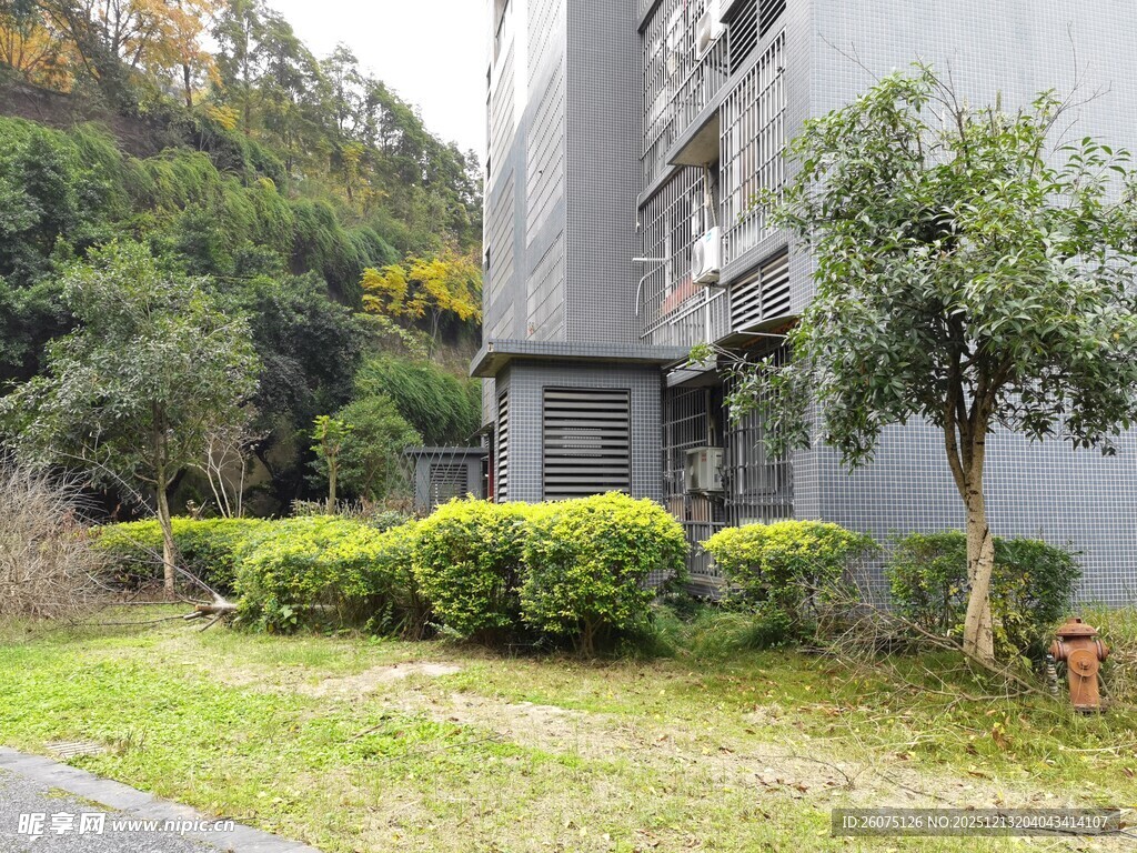 现代建筑旁的绿植景观