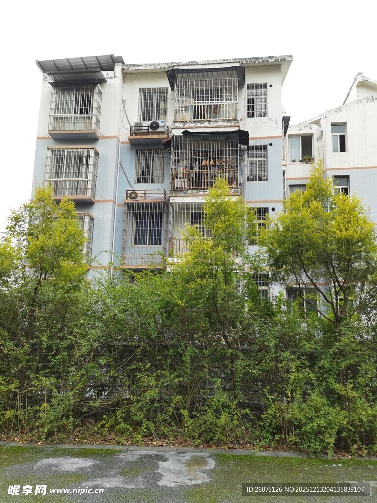 河畔绿植环绕的多层住宅