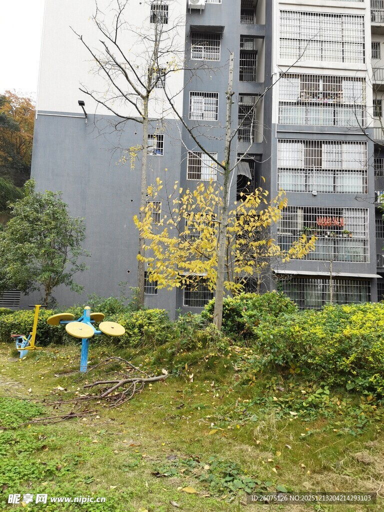 小区内的绿植与休闲设施