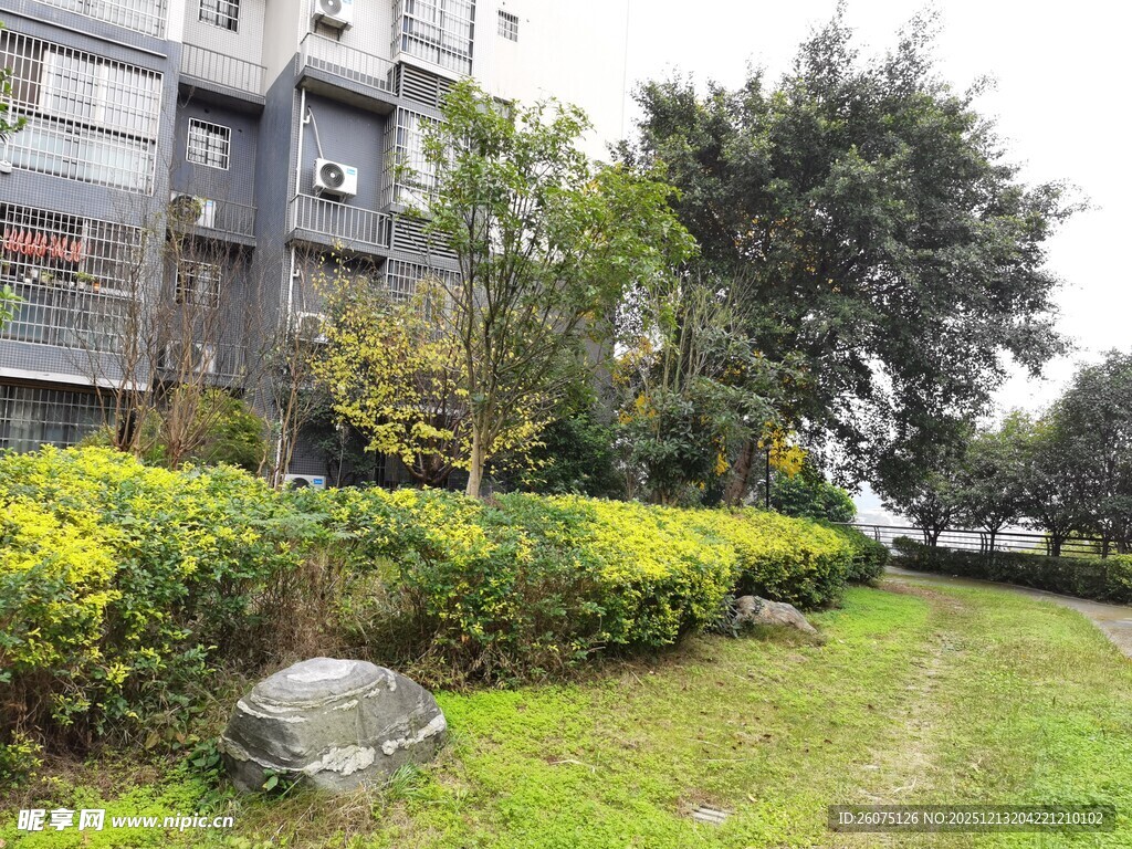 小区绿植环绕的宁静一角