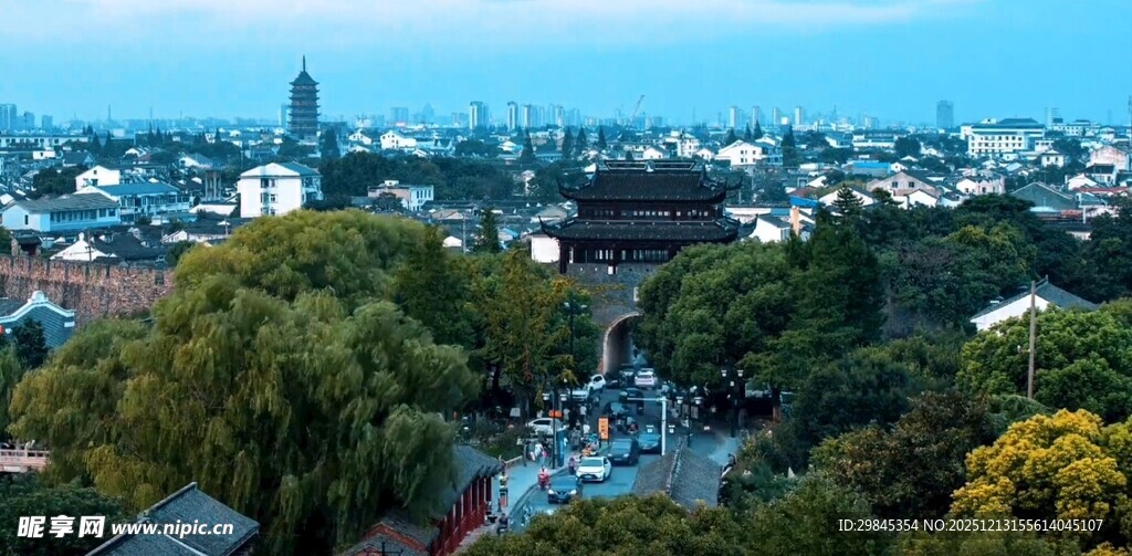 城市景观中的绿树与建筑