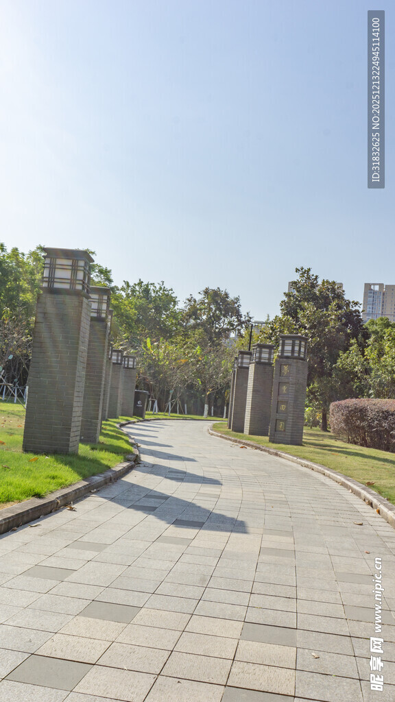 林荫石道 静谧户外景致