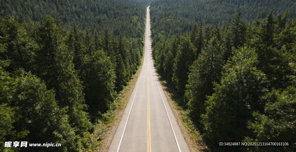 林间公路通向远方的旅程
