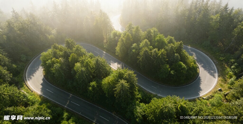蜿蜒公路穿梭于翠绿山林