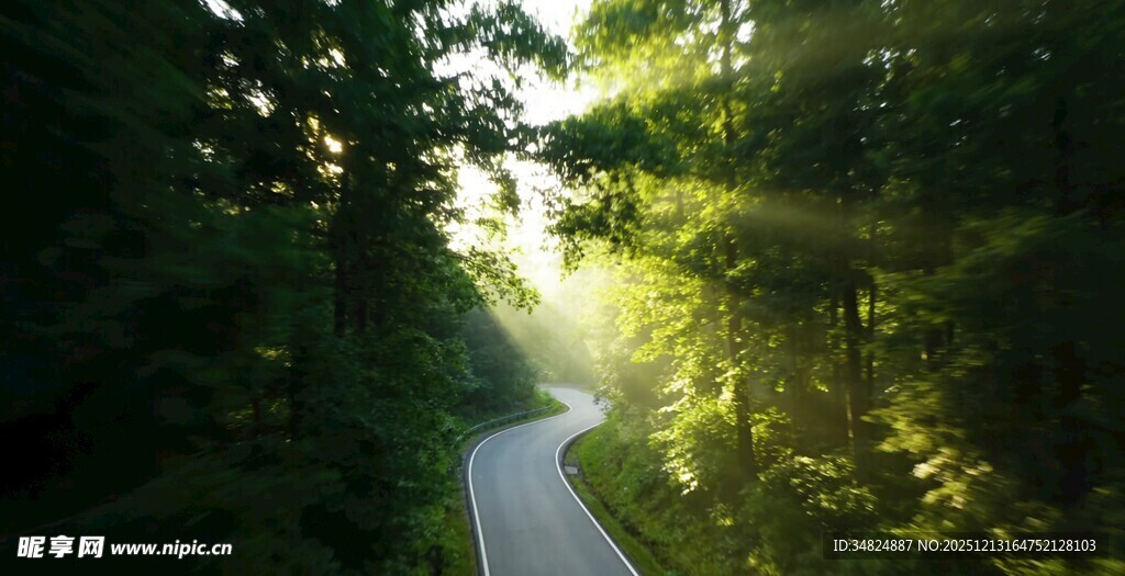 林间阳光小道静谧美好