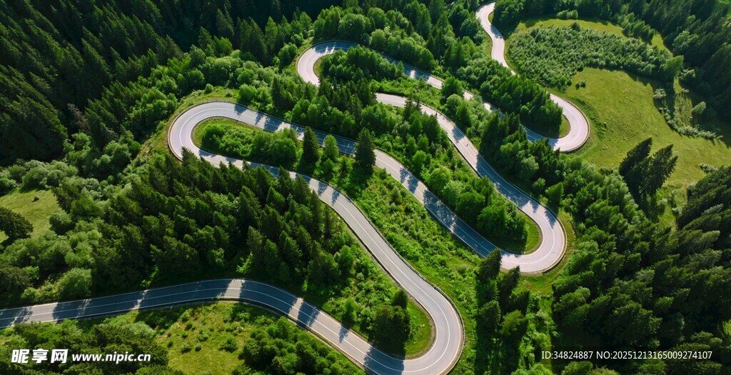 蜿蜒山路穿梭于翠绿山林