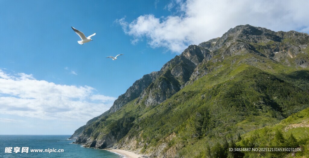 山海间飞鸟伴青山美景