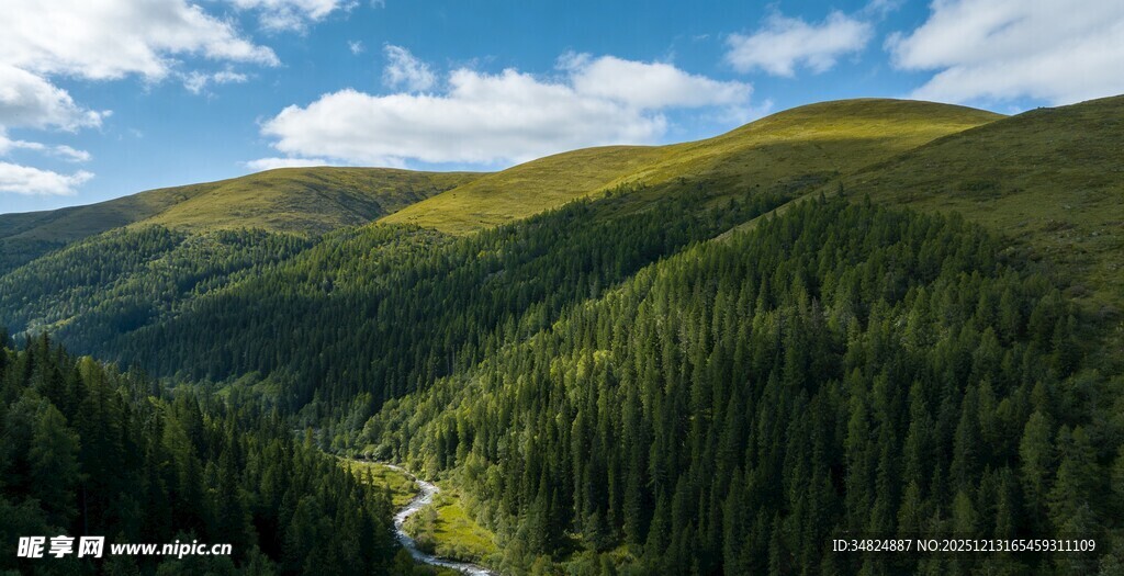 山间葱郁森林与蜿蜒小路