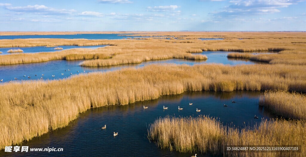 湿地风光水草与水域交织