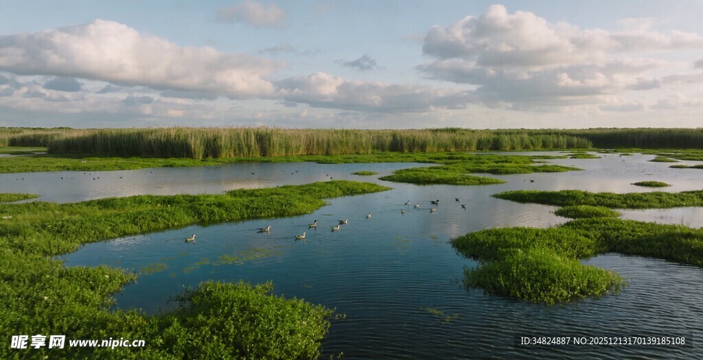 湿地风光静谧自然之美