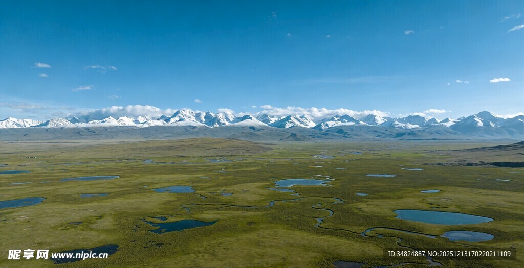 草原湿地与远处雪山美景