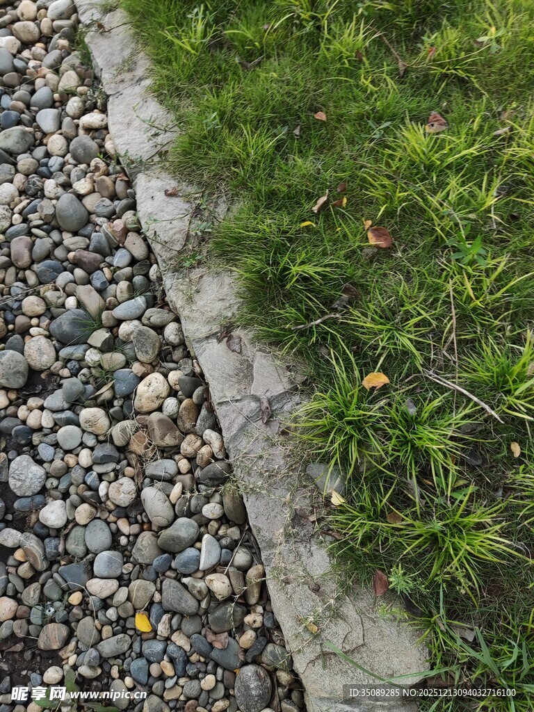 石边绿草景观