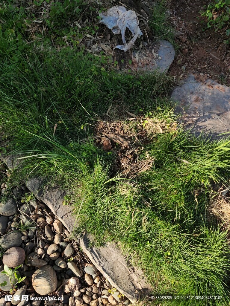 草地中的石块与神秘物品