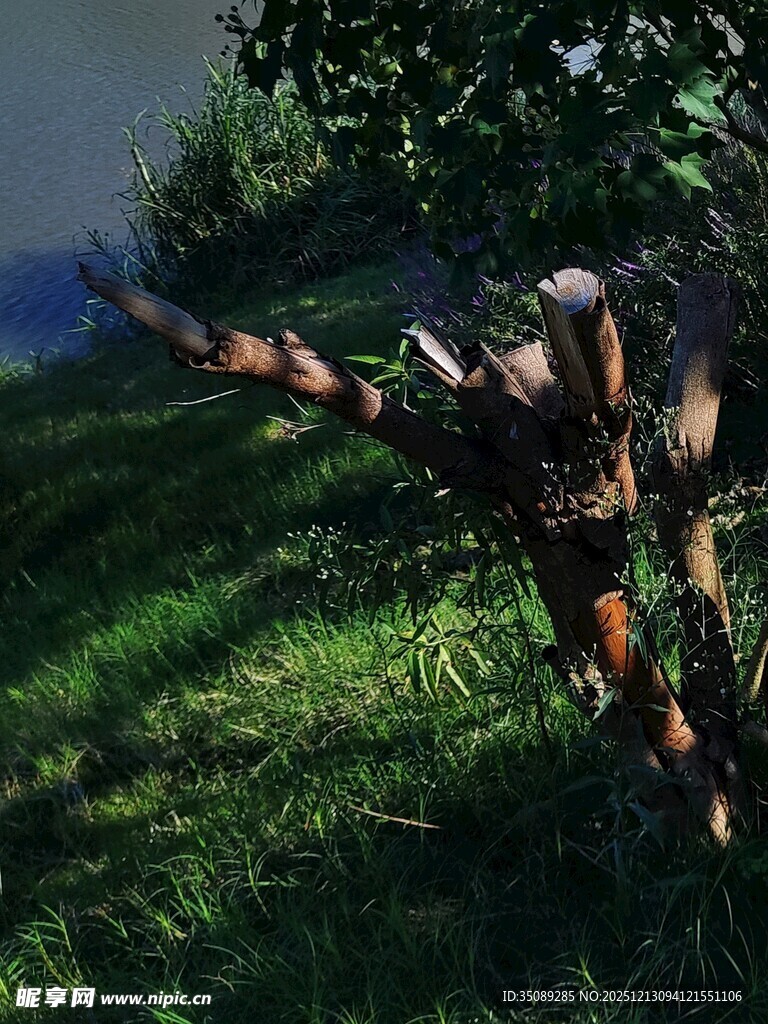 游戏角色于草地施展踢技