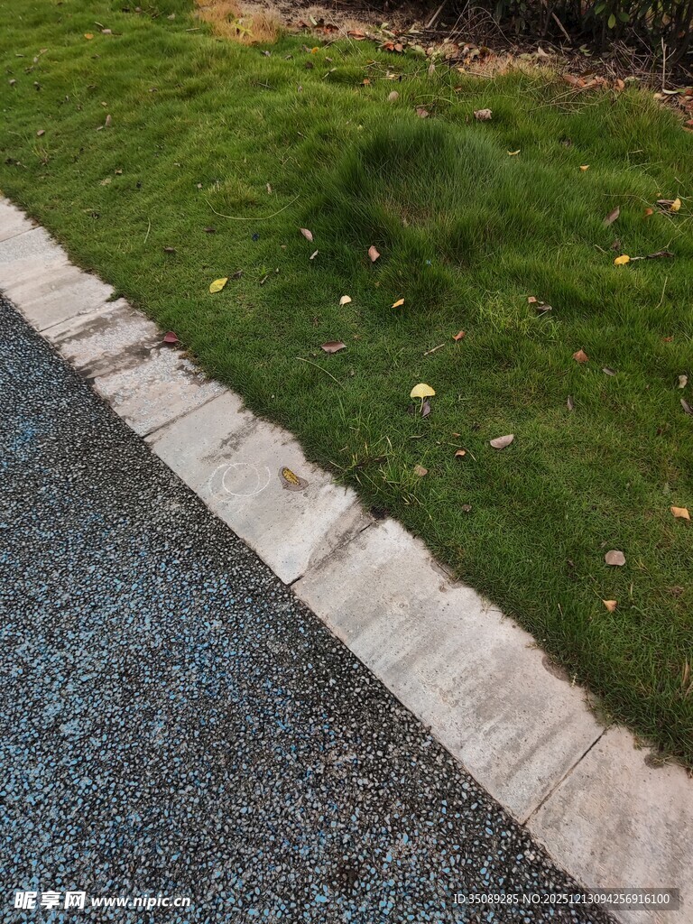 路边草地与灰色路面