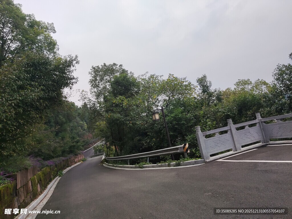 蜿蜒林间道路景观