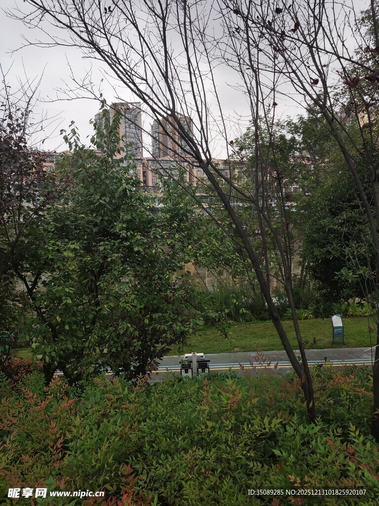 秋日公园林间景色