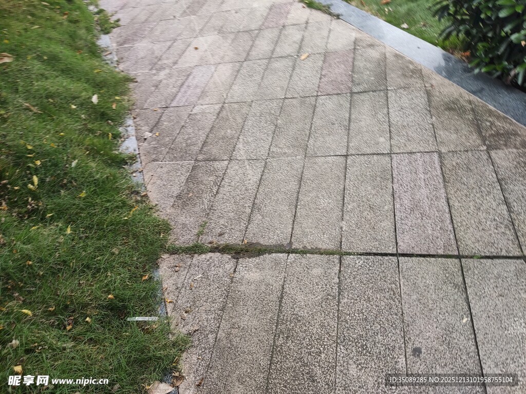 石板小径旁的绿意景致