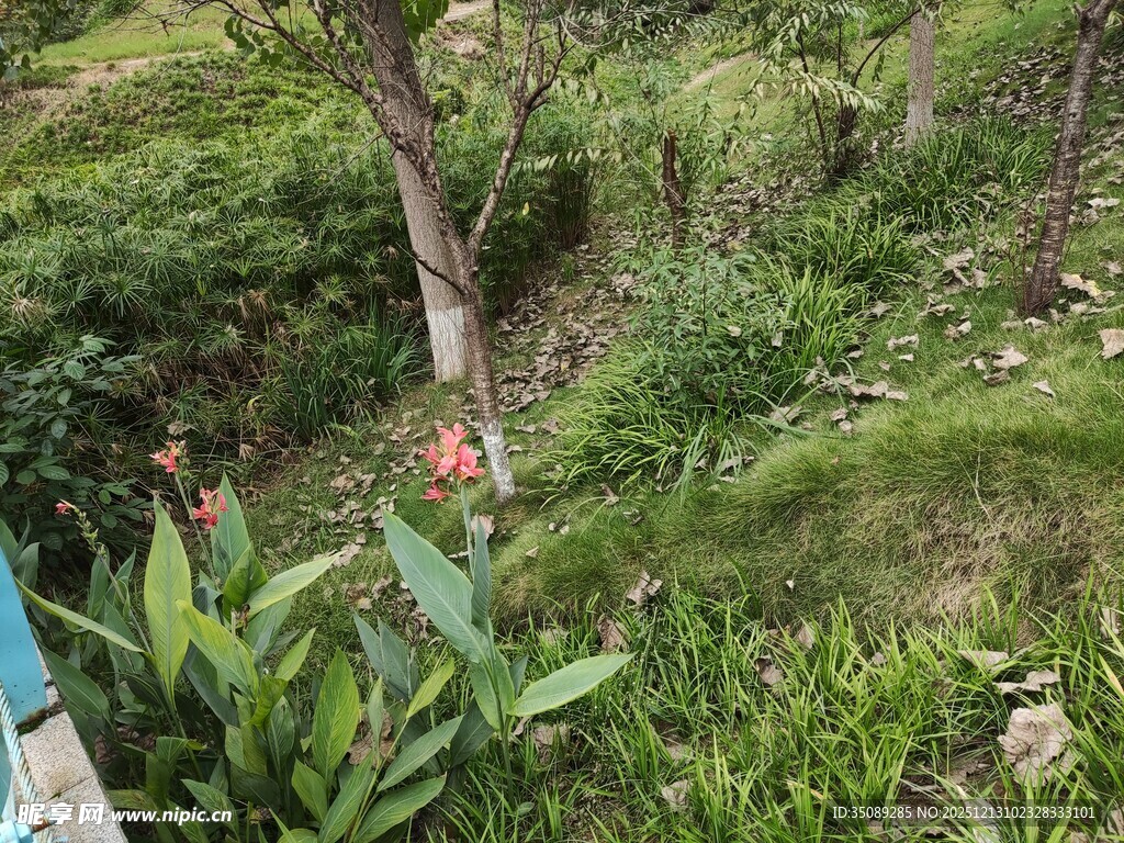 山林中穿行的徒步者