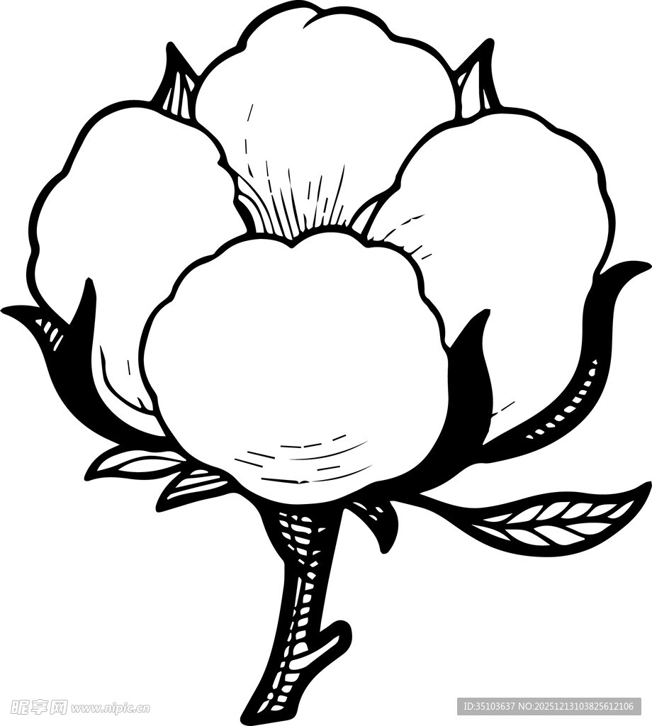 手绘棉花图案
