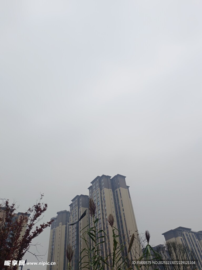 高楼矗立在朦胧天色下