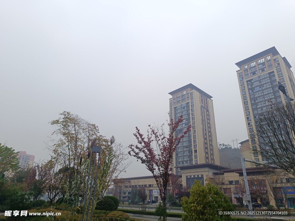 城市高楼旁的绿植景观