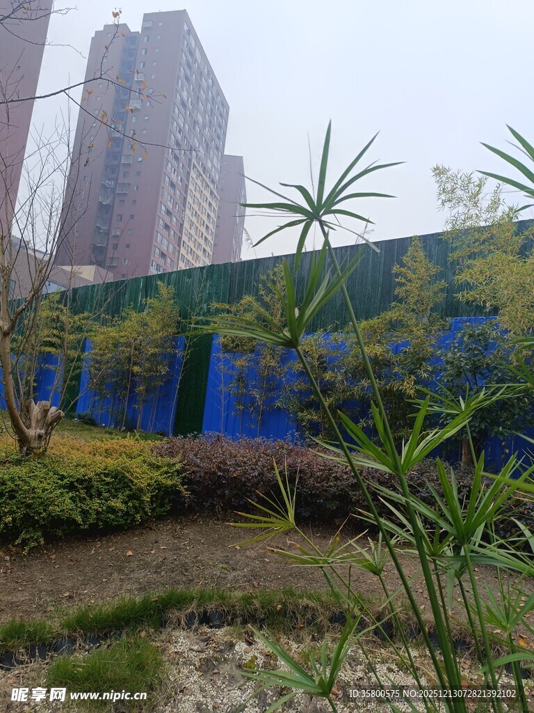 城市中的绿植景观角落