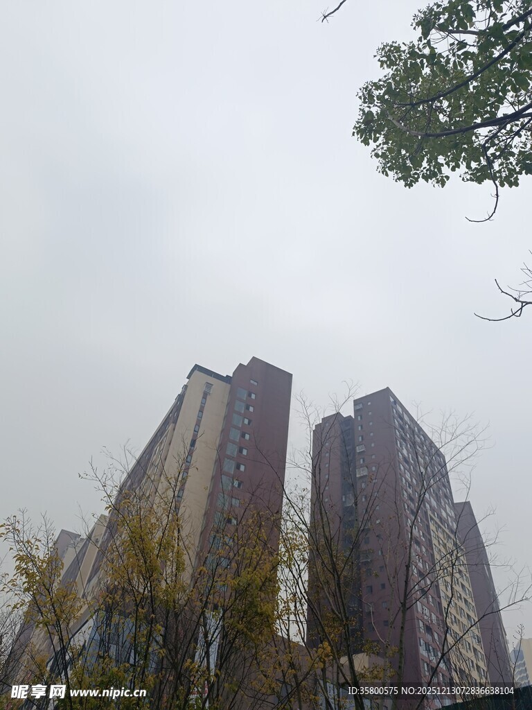 城市高楼与周边绿植景观