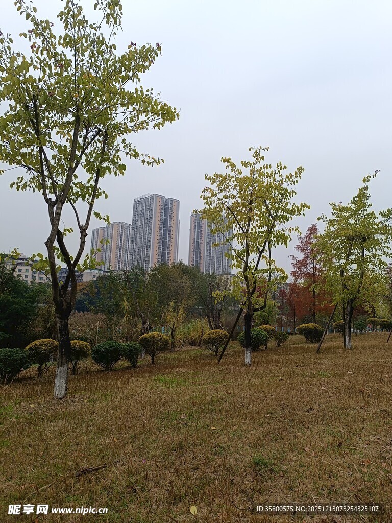 城市公园秋日景致