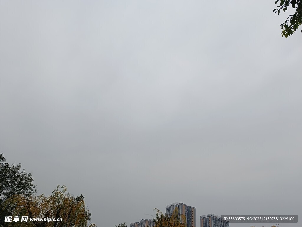 阴天城市楼宇与树木景观