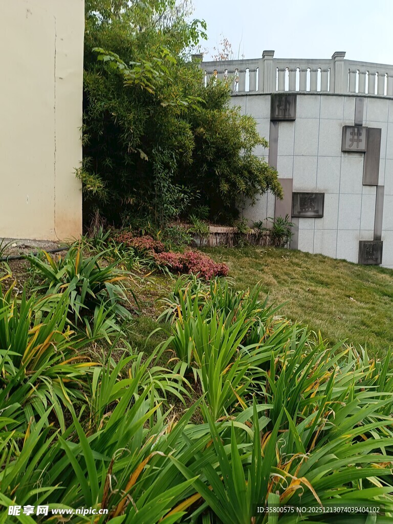 庭院绿植景观一角