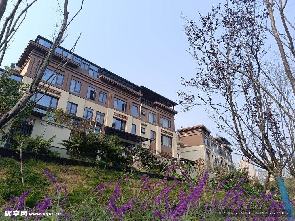 山坡上的多彩建筑与繁花