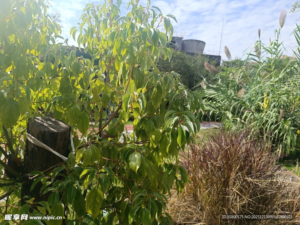 果园绿植与黑色设施景观