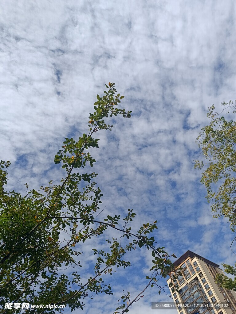 蓝天绿树间的建筑一角