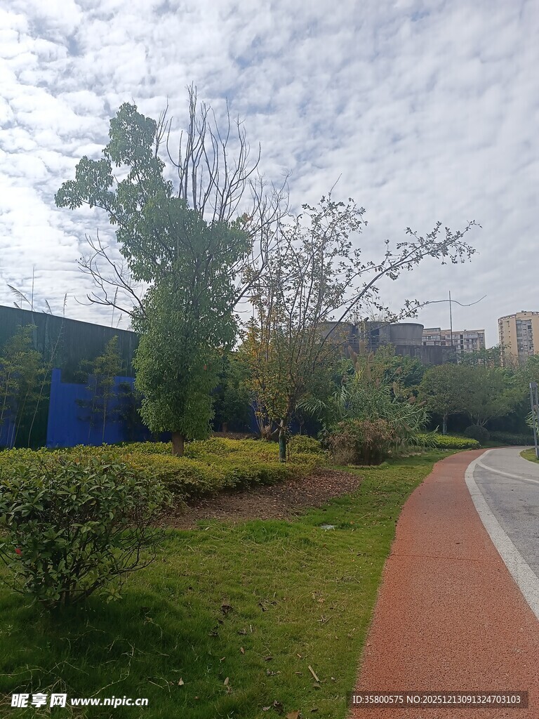 户外休闲绿地景观