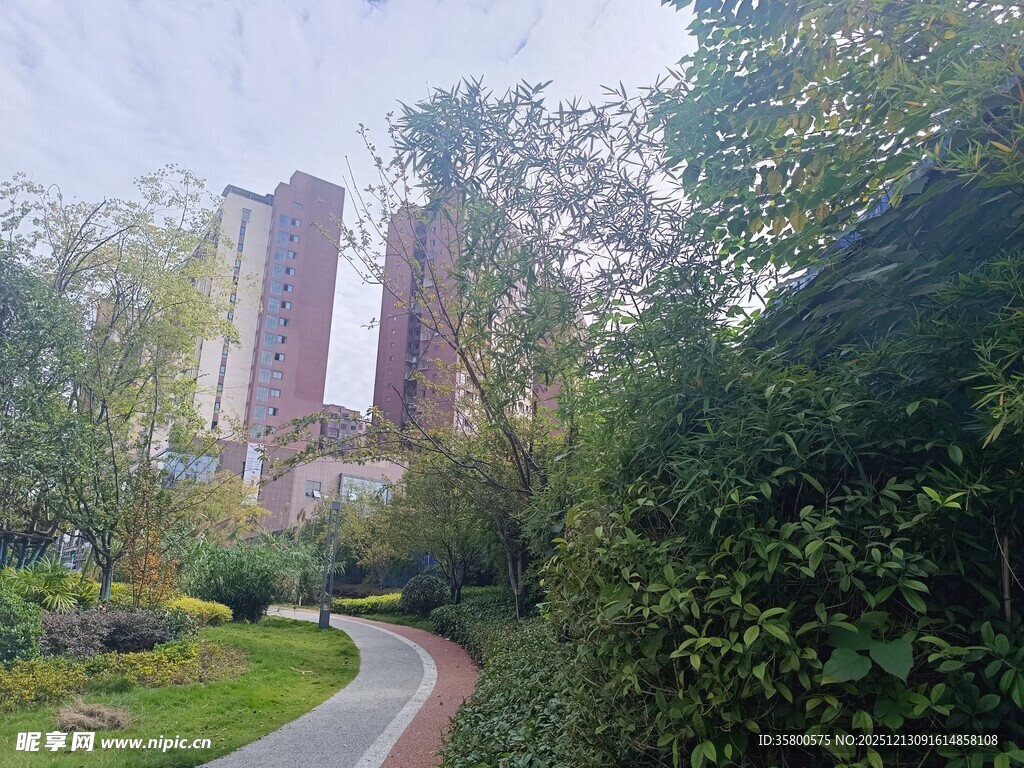 城市绿荫间的幽静小径