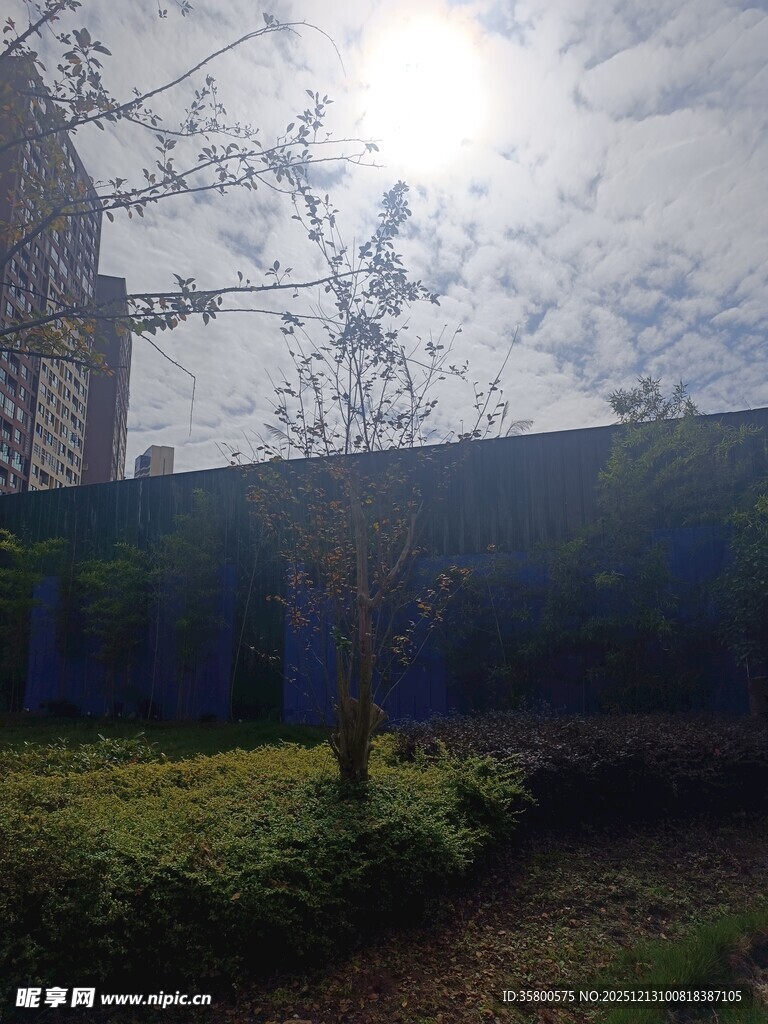 阳光洒落的庭院景致