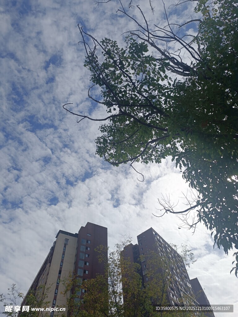 高楼之上的蓝天白云绿树