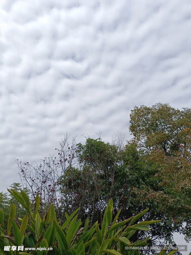 天空中奇特的波状云层