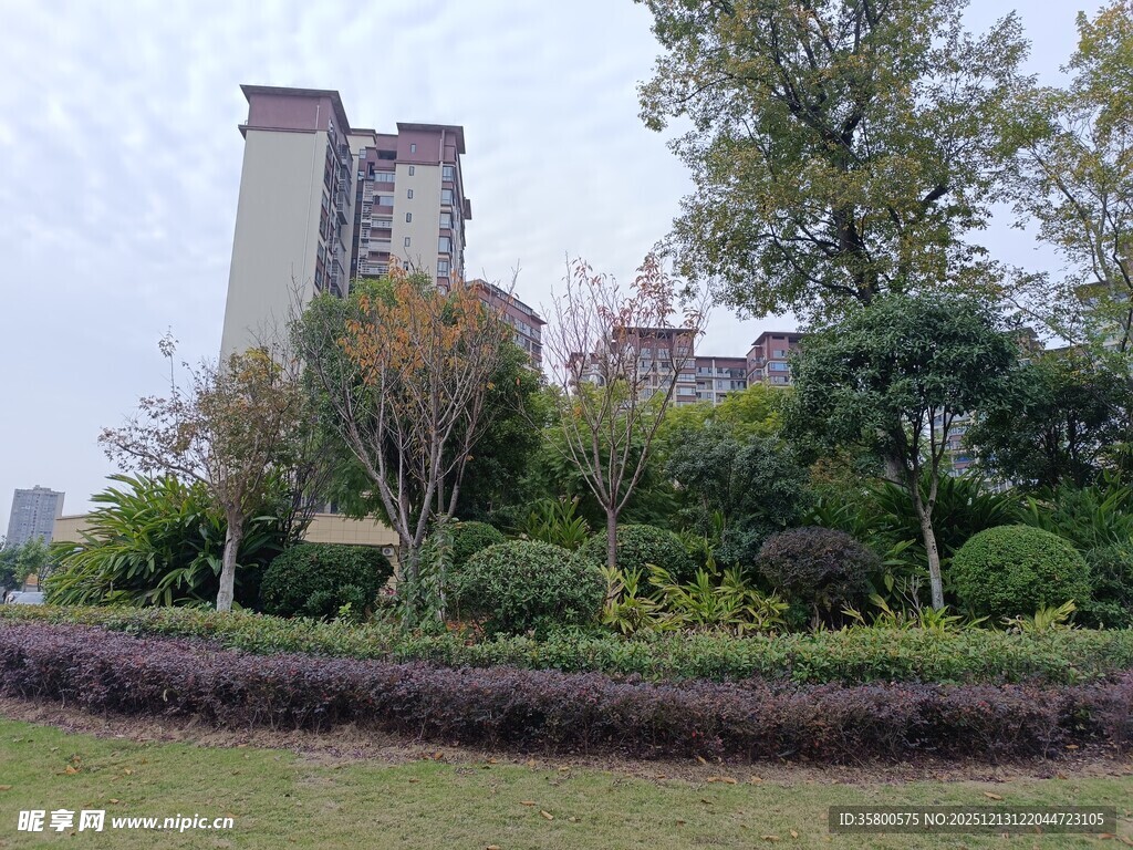 城市中的绿植景观