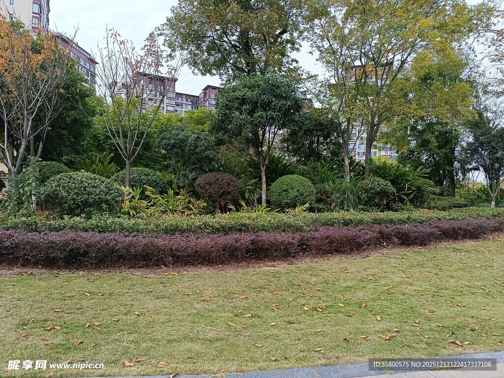 城市绿地景观