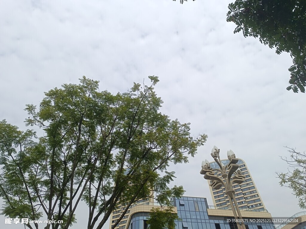 绿树掩映下的楼宇一角