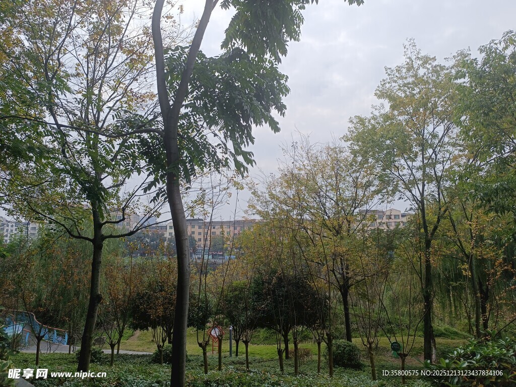 户外绿树环绕的景致