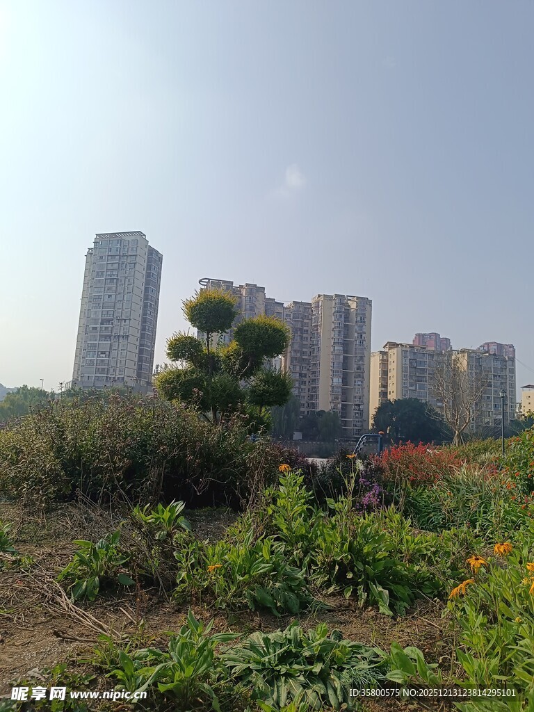 城市边的绿植景观